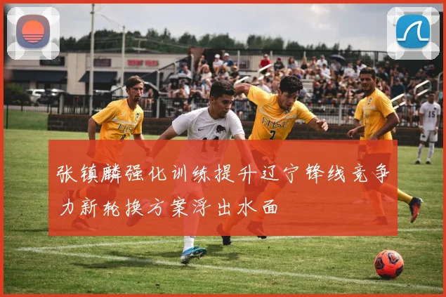 张镇麟强化训练提升辽宁锋线竞争力新轮换方案浮出水面